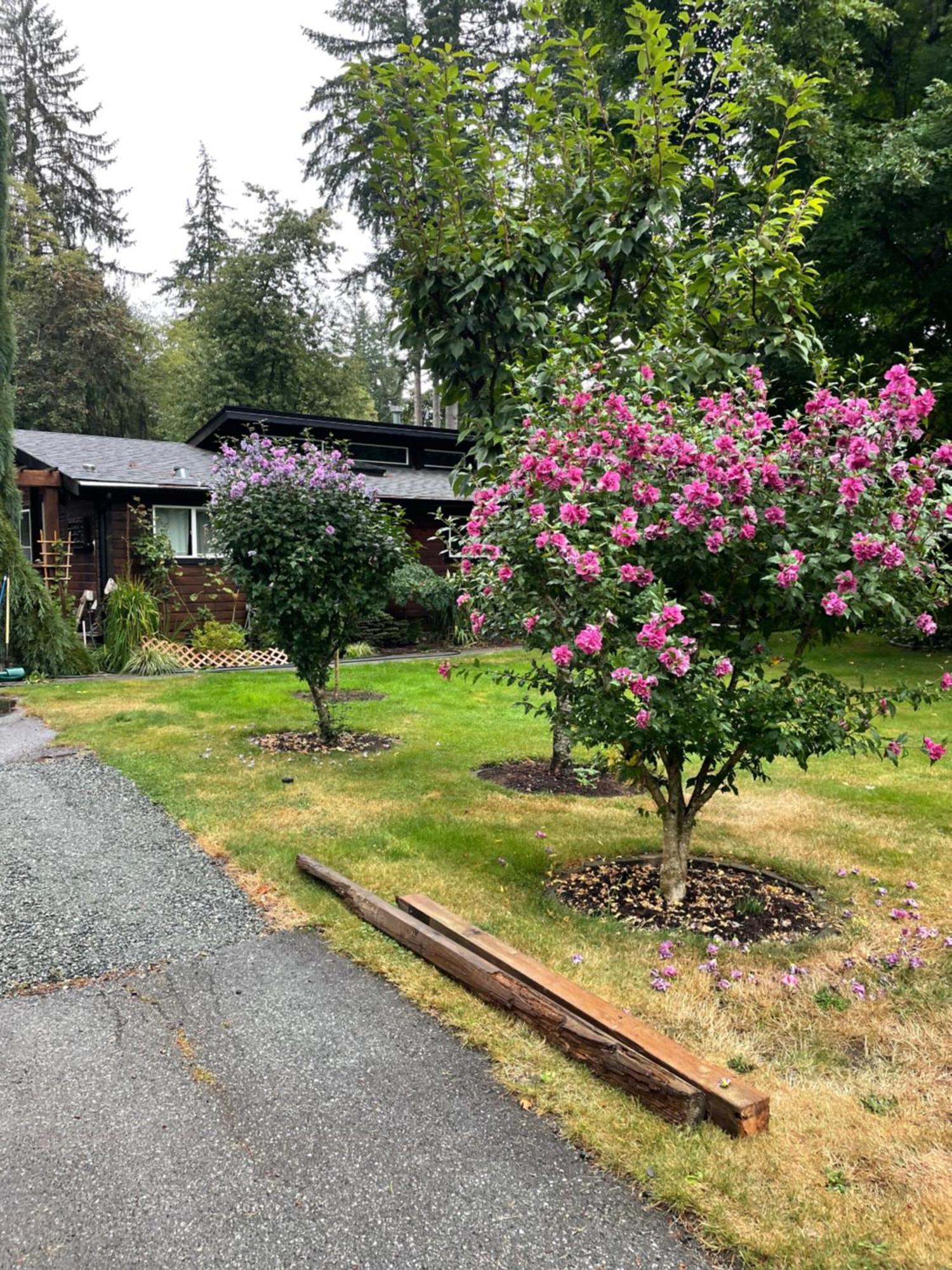 Oyster River Guest Room Campbell River Exterior photo