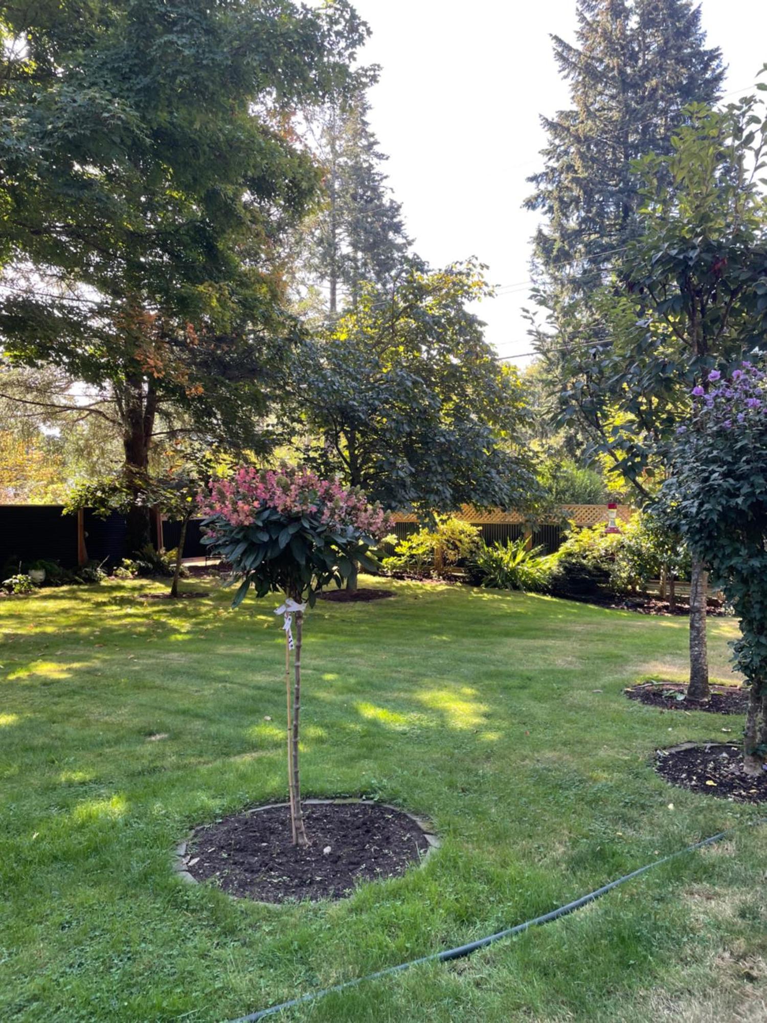 Oyster River Guest Room Campbell River Exterior photo